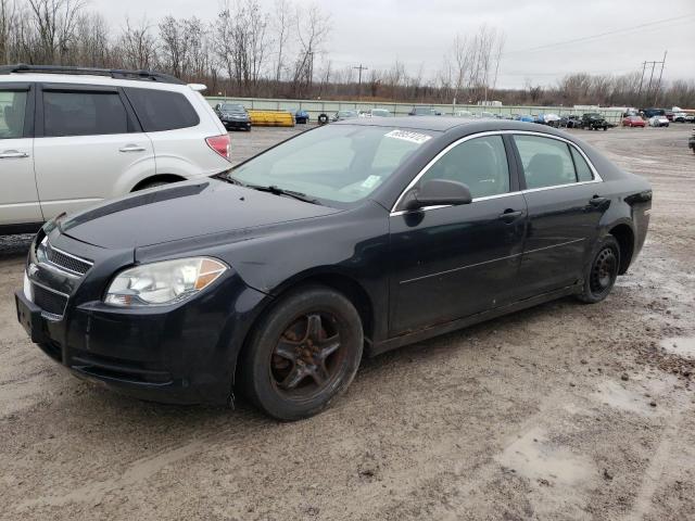 CHEVROLET MALIBU LS 2010 with VIN 1G1ZB5EBXAF273995 - Photo from auction