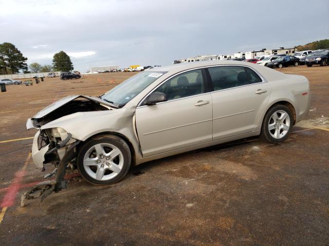 CHEVROLET MALIBU LS 2010 with VIN 1G1ZB5EB9AF146719 - Photo from auction