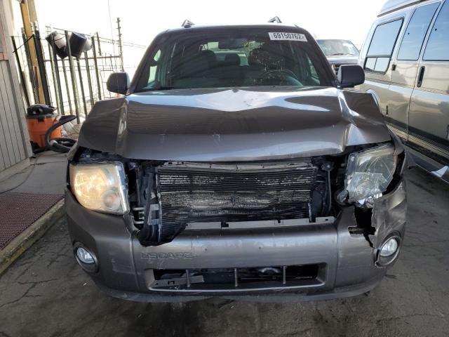 Photo 5 from auction – 2010 FORD ESCAPE XLT with VIN 1FMCU0DG3AKD11786