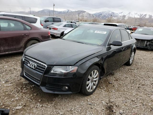AUDI A4 PREMIUM 2010 with VIN WAUFFAFL9AN059923 - Photo from auction