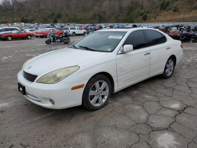 LEXUS ES 330 2005 with VIN JTHBA30G955084042 - Photo from auction