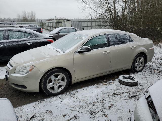 CHEVROLET MALIBU LS 2011 with VIN 1G1ZA5EU4BF341097 - Photo from auction