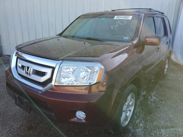HONDA PILOT EXL 2009 with VIN 5FNYF38519B023949 - Photo from auction