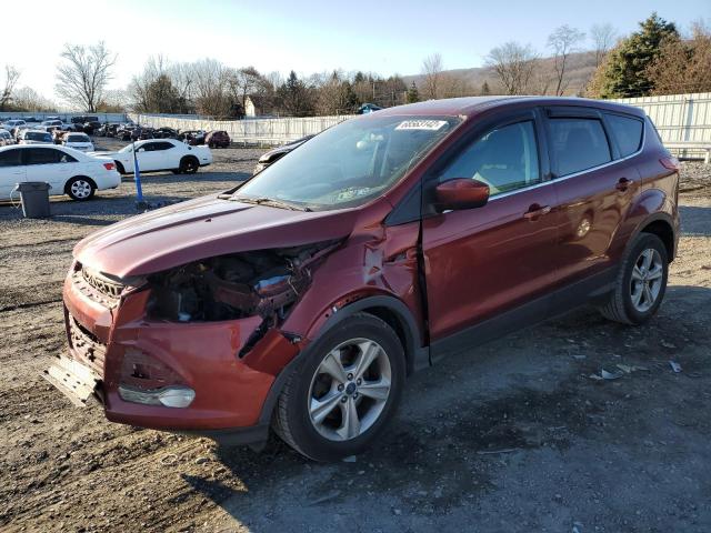 FORD ESCAPE SE 2014 with VIN 1FMCU0G90EUC10616 - Photo from auction