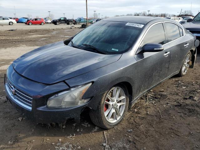 NISSAN MAXIMA S 2009 with VIN 1N4AA51E69C806077 - Photo from auction
