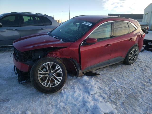 FORD ESCAPE SEL 2020 with VIN 1FMCU9H91LUA02700 - Photo from auction