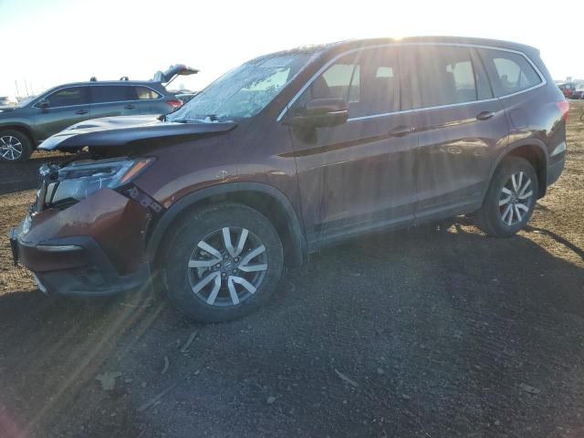 HONDA PILOT EXL 2019 with VIN 5FNYF6H52KB036846 - Photo from auction