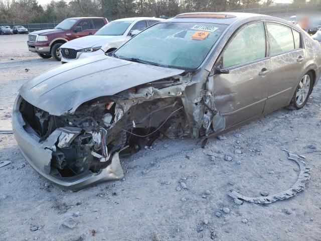 NISSAN MAXIMA SE 2006 with VIN 1N4BA41E36C841959 - Photo from auction