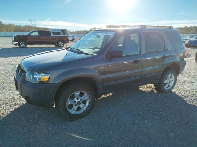 FORD ESCAPE XLT 2005 with VIN 1FMCU031X5KC46132 - Photo from auction