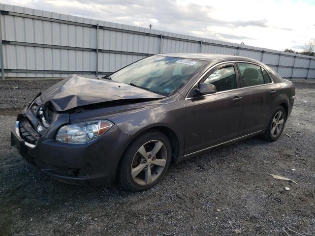 CHEVROLET MALIBU 1LT 2011 with VIN 1G1ZC5E10BF153855 - Photo from auction