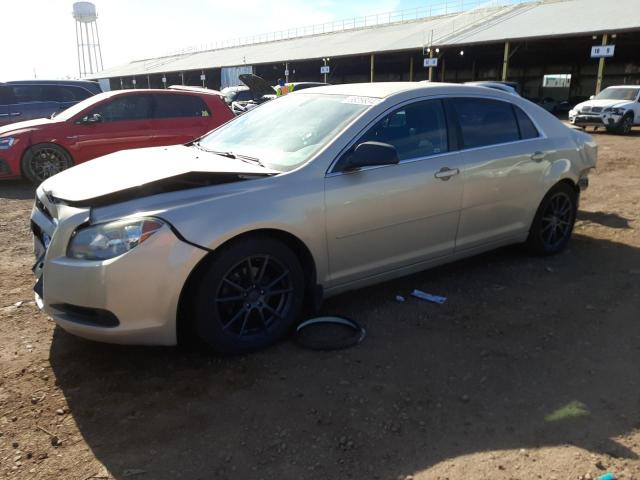 CHEVROLET MALIBU LS 2012 with VIN 1G1ZB5E02CF207829 - Photo from auction