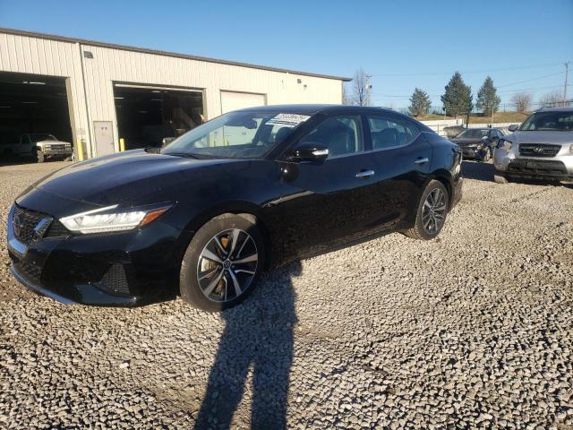 NISSAN MAXIMA SV 2020 with VIN 1N4AA6CV2LC362593 - Photo from auction