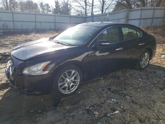 NISSAN MAXIMA S 2010 with VIN 1N4AA5AP4AC830061 - Photo from auction