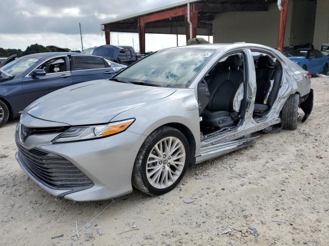 TOYOTA CAMRY XLE 2020 with VIN 4T1F31AK3LU538059 - Photo from auction