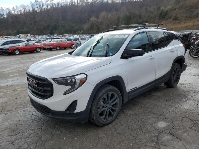 GMC TERRAIN SL 2020 with VIN 3GKALTEV2LL345902 - Photo from auction