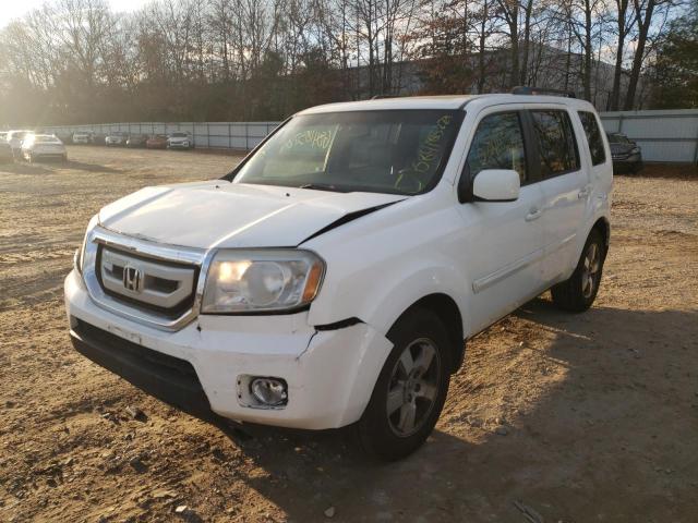 HONDA PILOT EXL 2011 with VIN 5FNYF4H5XBB015313 - Photo from auction