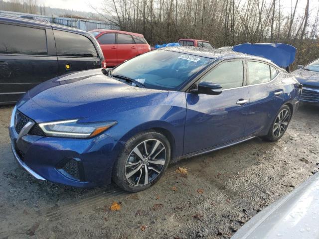 NISSAN MAXIMA SV 2022 with VIN 1N4AA6CV1NC504502 - Photo from auction