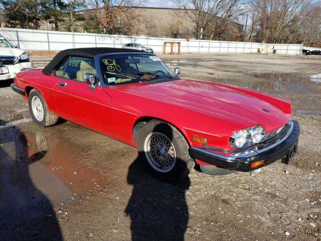 Photo 4 from auction – 1989 JAGUAR XJS with VIN SAJNV4846KC164894