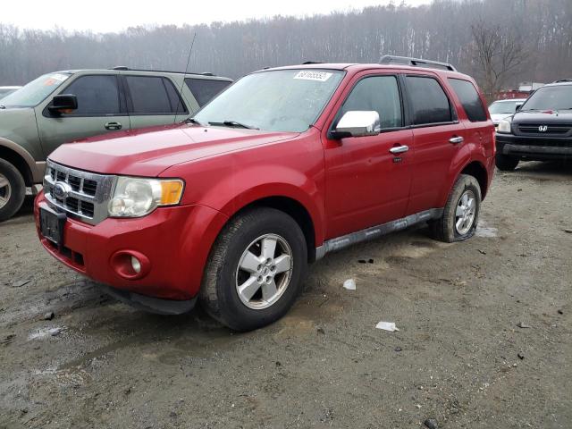 FORD ESCAPE XLT 2010 with VIN 1FMCU0DG7AKA07960 - Photo from auction