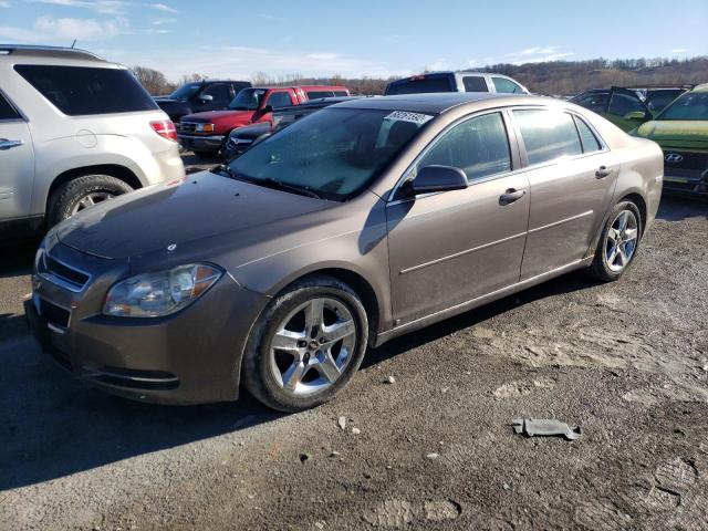 CHEVROLET MALIBU 1LT 2010 with VIN 1G1ZC5EB5AF109079 - Photo from auction
