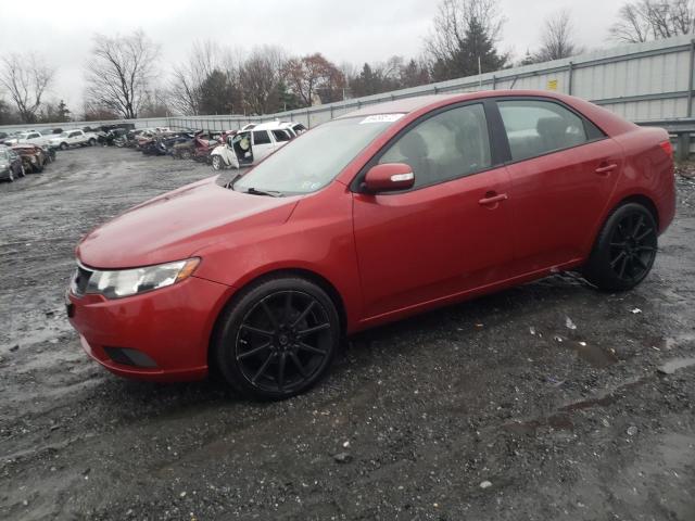 KIA FORTE EX 2010 with VIN KNAFU4A23A5098111 - Photo from auction