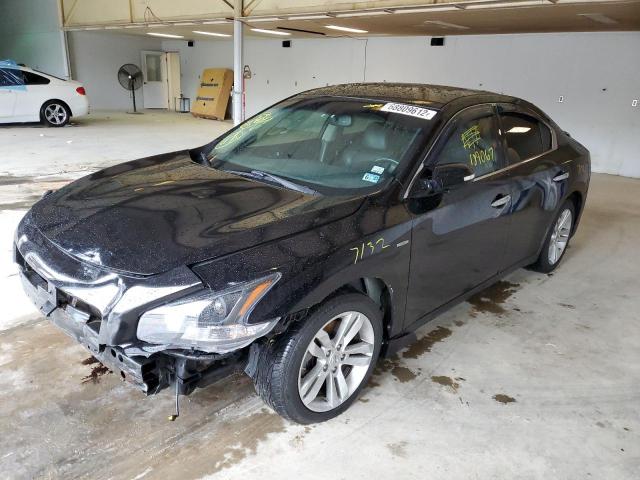 NISSAN MAXIMA S 2009 with VIN 1N4AA51E29C851632 - Photo from auction
