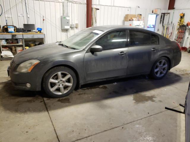 NISSAN MAXIMA SE 2006 with VIN 1N4BA41E16C863975 - Photo from auction