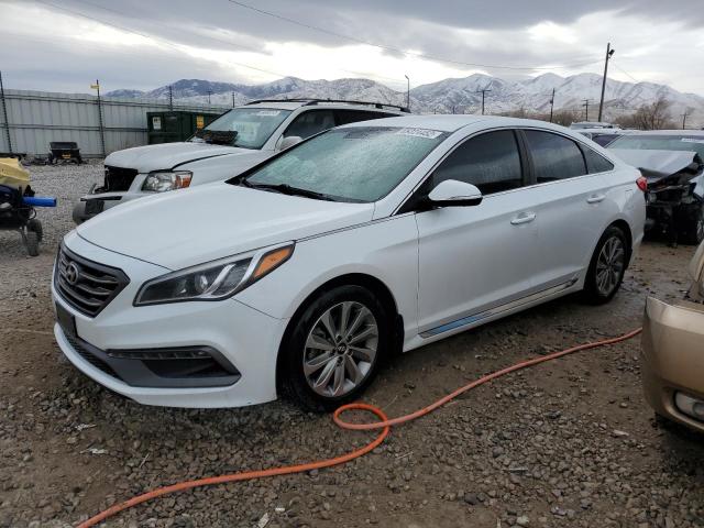 HYUNDAI SONATA SPO 2017 with VIN 5NPE34AF2HH494562 - Photo from auction