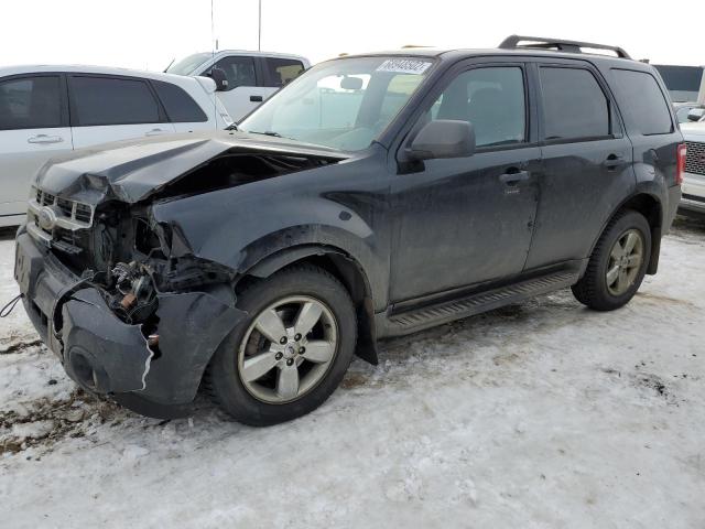 Photo 1 from auction – 2009 FORD ESCAPE XLT with VIN 1FMCU93G09KA98233