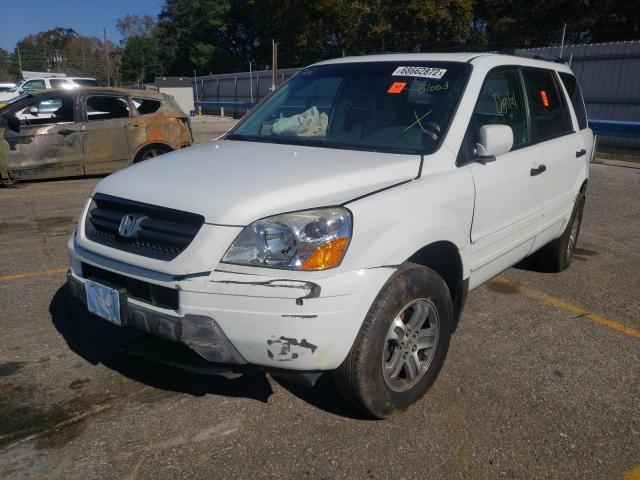 HONDA PILOT EXL 2005 with VIN 5FNYF185X5B067270 - Photo from auction