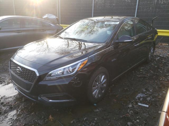 HYUNDAI SONATA HYB 2017 with VIN KMHE24L15HA044671 - Photo from auction