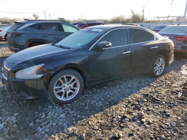 NISSAN MAXIMA S 2009 with VIN 1N4AA51E59C845825 - Photo from auction