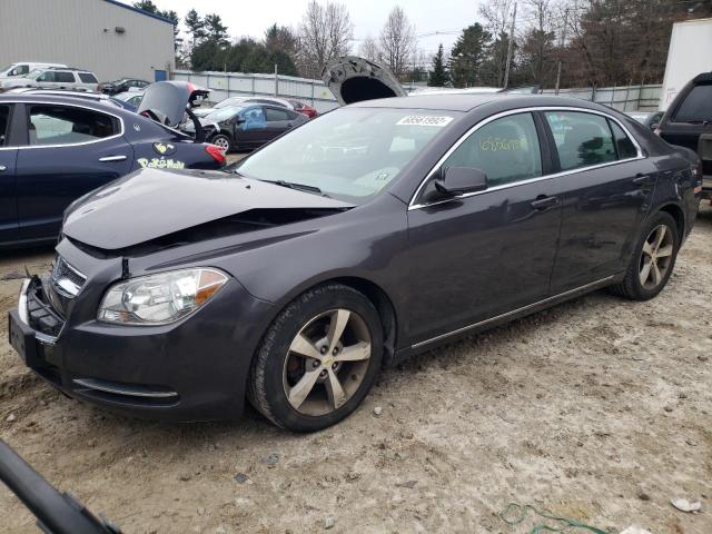 CHEVROLET MALIBU 1LT 2011 with VIN 1G1ZC5E13BF249477 - Photo from auction
