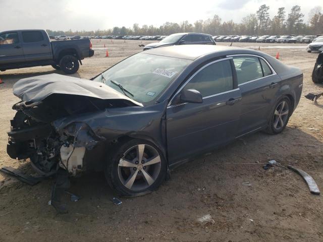 Photo 1 from auction – 2009 CHEVROLET MALIBU 2LT with VIN 1G1ZJ57B89F253546