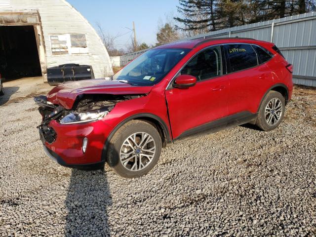 FORD ESCAPE SEL 2020 with VIN 1FMCU9H97LUC15621 - Photo from auction
