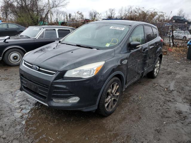 FORD ESCAPE SEL 2013 with VIN 1FMCU0H92DUC37006 - Photo from auction