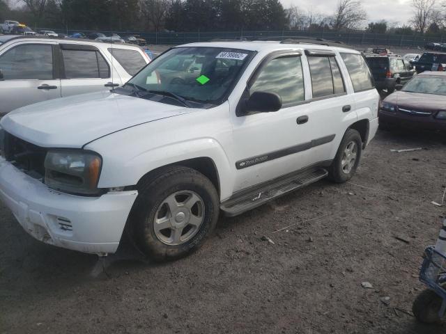 CHEVROLET TRAILBLAZE 2003 with VIN 1GNDT13S232286493 - Photo from auction