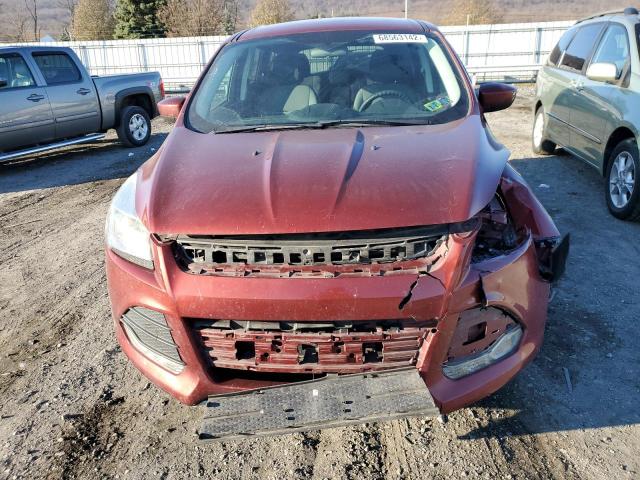 Photo 5 from auction – 2014 FORD ESCAPE SE with VIN 1FMCU0G90EUC10616