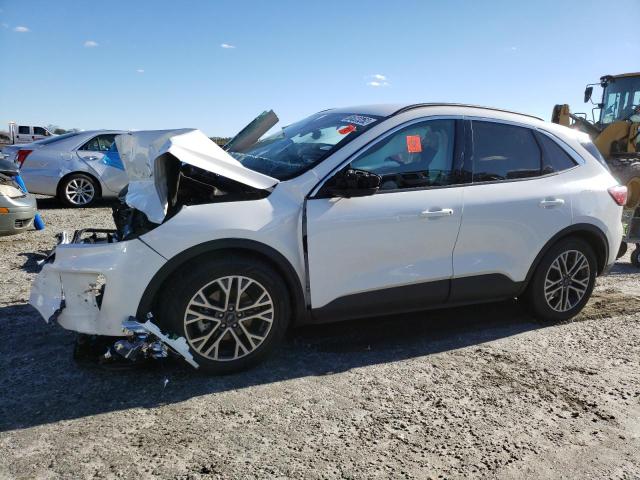 FORD ESCAPE SEL 2020 with VIN 1FMCU0H67LUA05568 - Photo from auction