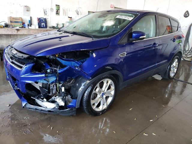 FORD ESCAPE SEL 2013 with VIN 1FMCU0H91DUC80235 - Photo from auction