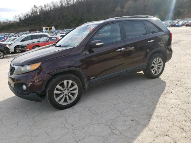 KIA SORENTO BA 2011 with VIN 5XYKTDA29BG124532 - Photo from auction
