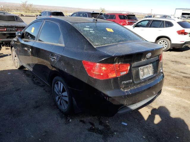 Photo 2 from auction – 2013 KIA FORTE EX with VIN KNAFU4A20D5675732