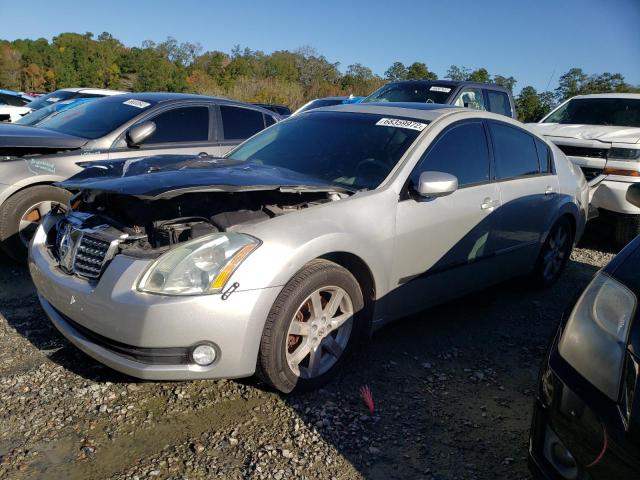 NISSAN MAXIMA SE 2006 with VIN 1N4BA41E16C836341 - Photo from auction