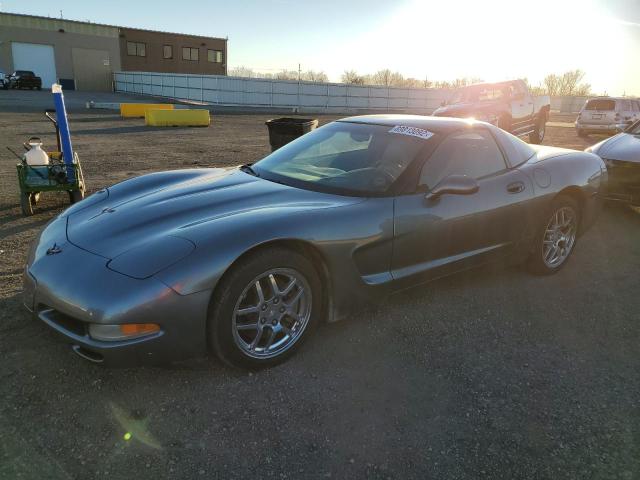 CHEVROLET CORVETTE 2004 with VIN 1G1YY22G545103479 - Photo from auction