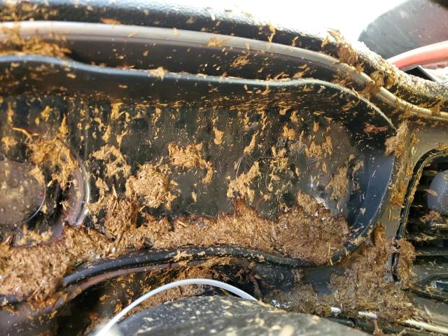 Photo 9 from auction – 2021 DODGE CHALLENGER with VIN 2C3CDZAG1MH501552
