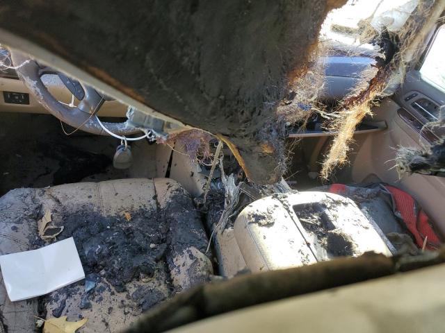 Photo 8 from auction – 2011 GMC SIERRA K15 with VIN 3GTP2WE39BG246946