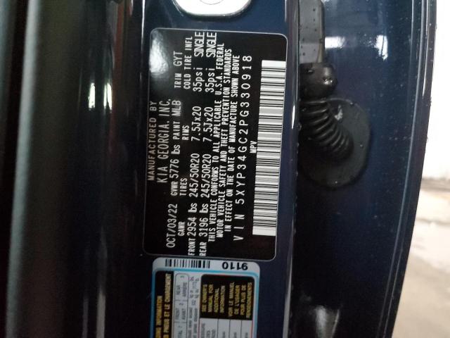 Photo 10 from auction – 2023 KIA TELLURIDE with VIN 5XYP34GC2PG330918