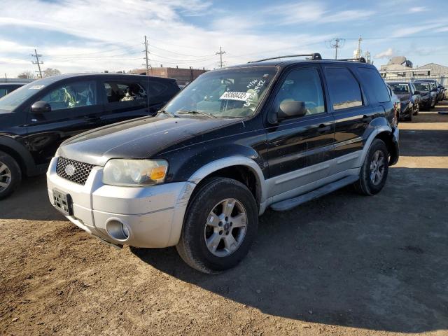 Photo 1 from auction – 2007 FORD ESCAPE XLT with VIN 1FMCU93157KA23648