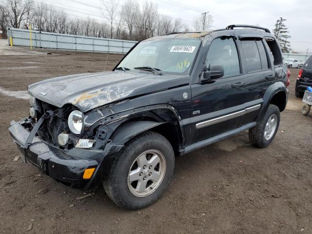 JEEP LIBERTY SP 2006 with VIN 1J4GL48K16W229922 - Photo from auction