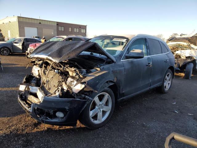 AUDI Q5 PREMIUM 2011 with VIN WA1LFAFP0BA042584 - Photo from auction
